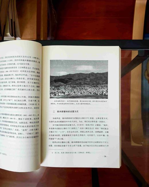 《唐代姚州都督府》，鲁正清著，云南人民出版社2014年版，定价售价：49，售价78元，品相9成。 商品图9