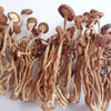 悦意有机茶树菇 A85g 商品缩略图2