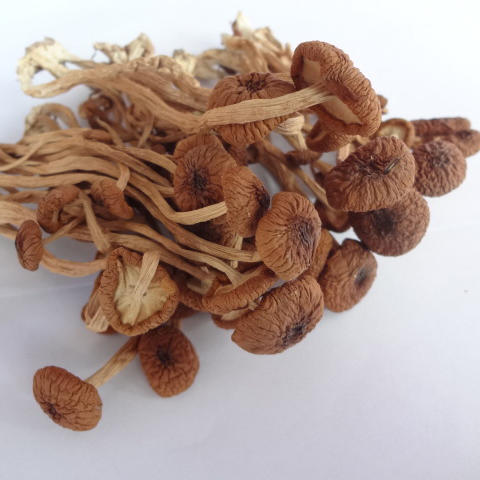 悦意有机茶树菇 A85g 商品图3