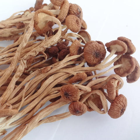 悦意有机茶树菇 A85g 商品图1