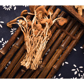 四川广元山珍高山生态茶树菇150g