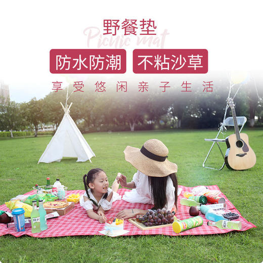 野餐垫户外便携防水草野炊地垫子春秋游防潮垫郊游ins风野餐布 商品图3