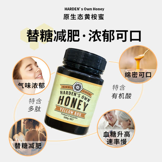 哈登 黄桉蜜 替糖 浓郁可口 澳洲进口 纯正天然 500克 商品图1