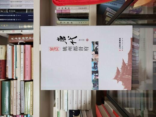 《唐代姚州都督府》，鲁正清著，云南人民出版社2014年版，定价售价：49，售价78元，品相9成。 商品图0