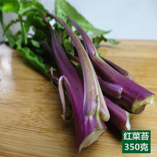 红菜苔 商品图1