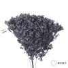 永生绣球 | 岩石灰 商品缩略图0