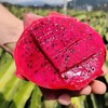 海南红心心火龙果5斤礼盒装  顺丰快递    （购买前看详情） 商品缩略图0