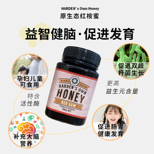 哈登红桉树蜂蜜 赤桉蜜 商品图1