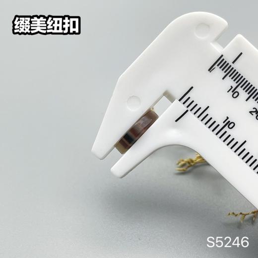 S5246(整包购买) 商品图8