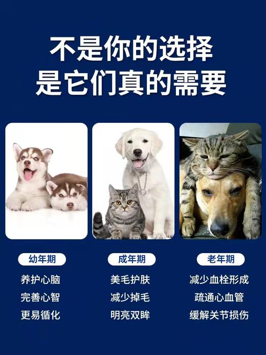 【换毛季必备】美国绝魅鱼油靓毛防脱护关节狗狗猫咪【日期新鲜具体可询】 商品图3