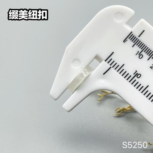 S5250(整包购买) 商品图7