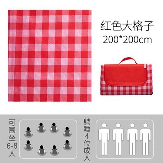 野餐垫户外便携防水草野炊地垫子春秋游防潮垫郊游ins风野餐布 商品图6
