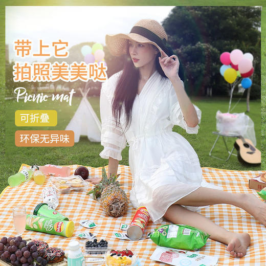 野餐垫户外便携防水草野炊地垫子春秋游防潮垫郊游ins风野餐布 商品图4