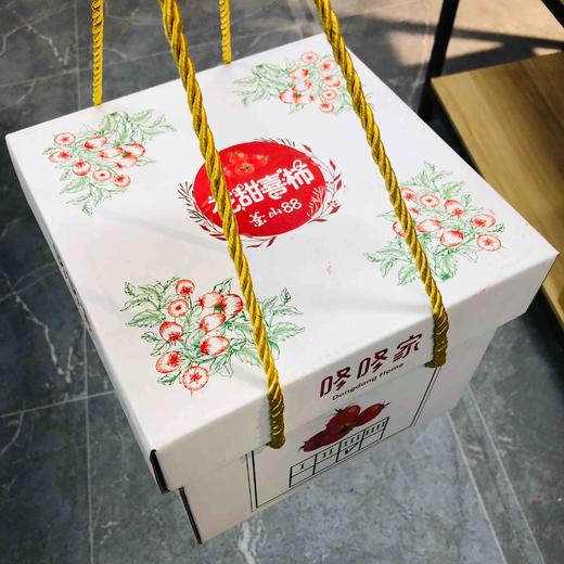 釜山88小番茄，花恬喜柿 千禧番茄 商品图6