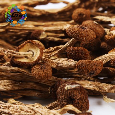 悦意有机茶树菇 A85g 商品图4