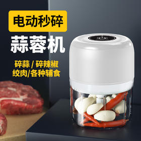 家用电动蒜泥神器，剥拉搅蒜 捣蒜器 绞肉机 厨房无线压蒜泥 自动打蒜机