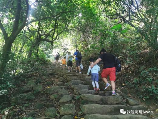 【防水双肩包】Eagle Creek遇见双肩包 防水旅行防盗背包 大容量通勤电脑包 休闲书包女 商品图9