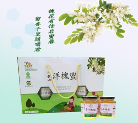 沂蒙山洋槐蜜礼盒500g*2瓶/提