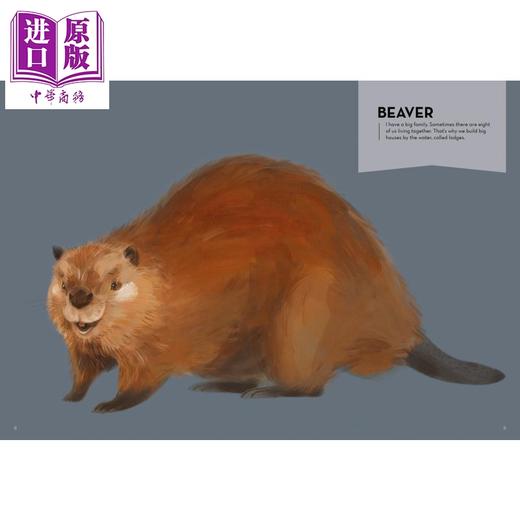 【中商原版】Super Animals Builders 动物建筑师 英文原版 进口图书 神奇动物系列 儿童知识绘本 生物学 亲子图画书 5岁以上 商品图2