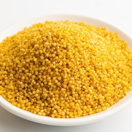 陕西窑洞正宗米脂小米 5斤装 商品图0