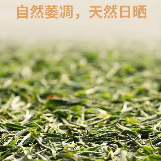 传奇会茶叶 福鼎白茶散装白茶白毫银针 福鼎陈年罐装高山老白茶 商品图7