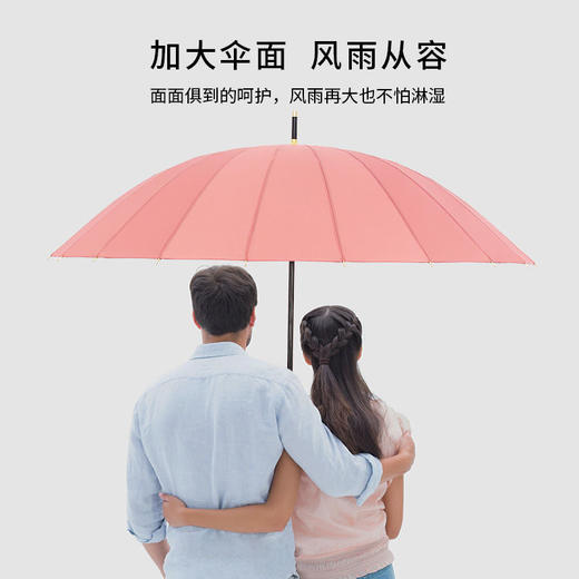 24骨遇水开花 高颜值韩版简约长柄大雨伞晴雨两用 商品图9