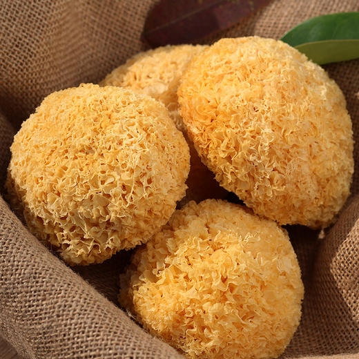 福建古田丑耳、菌中上品、易泡发、不硫熏、美丽吃出来 商品图3