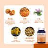 【买2送1，买3送2】华北制药石斛益生菌免幽片每日一片日常养胃全家必备 商品缩略图3