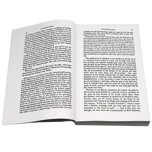 石头记 红楼梦1 英文原版书 The Story of the Stone 1 Black Classics 曹雪芹 Penguin 企鹅经典 英文版中国文学进口英语书籍 商品图2