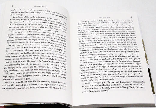 弗吉尼亚伍尔夫经典作品集6册 英文原版 Virginia Woolf Mrs Dalloway 达洛维夫人 到灯塔去 一间自己的房间 经典文学书籍 英语书 商品图1
