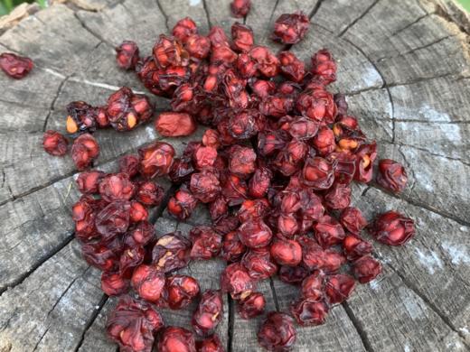 野生五味子 商品图4