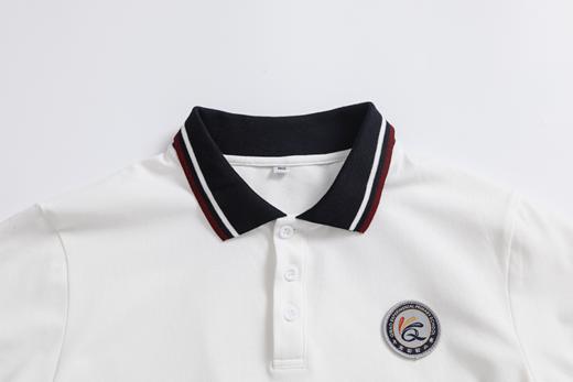 七宝实验小学 男女生短袖polo衫 商品图8