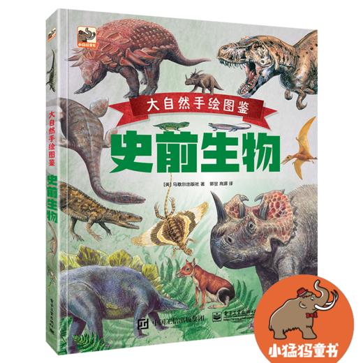 大自然手绘图鉴 史前生物 商品图1