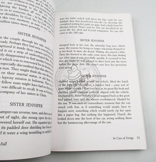 米歇尔法柏 雨必将落下 英文原版 Some Rain Must Fall And Other Stories 英文文学 英文版短篇小说集 进口原版英语书籍 商品图2