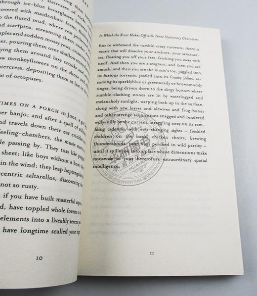 世间万物 与植物星辰动物的相遇 英文原版 Things That Are 艾米里奇 青少年英语科普故事集 英文版进口原版书籍 商品图2