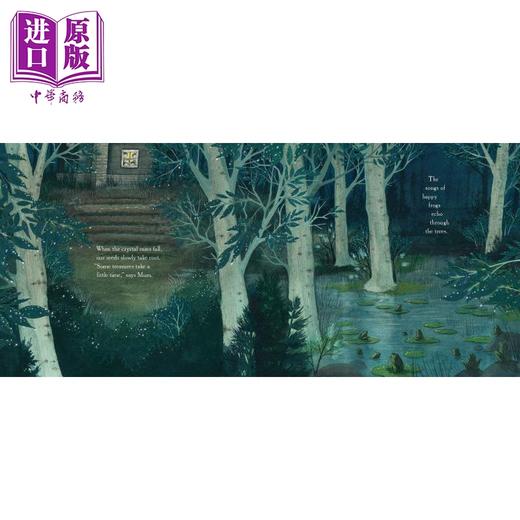 【中商原版】Eliza Wheeler 林中之家 Home in the Woods 英文原版 进口图书 儿童绘本 精装 丛林大自然 童年故事图画书 5-8岁 商品图2