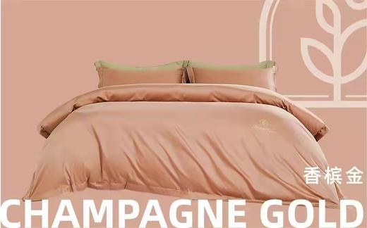 博洋臻.我长绒棉四件套 商品图2