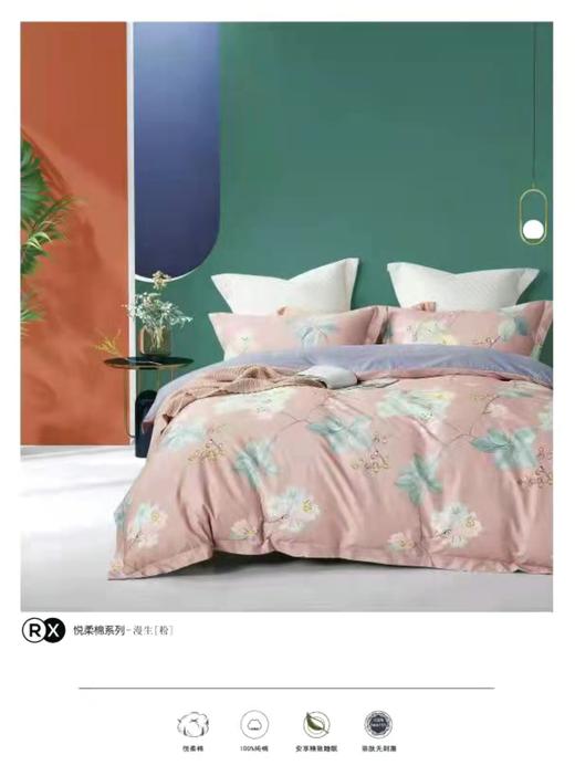 圣布凡高支高密纯棉四件套 商品图4