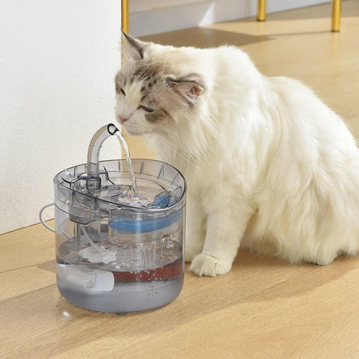 宠物猫咪狗通用饮水机自动循环过滤静音流动喝水饮水器不插电活水 商品图6