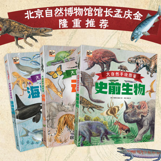 大自然手绘图鉴 史前生物 商品图2