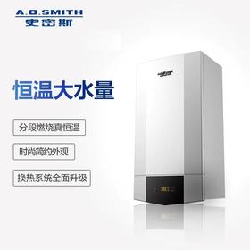 L1PB20-A1 A.O.史密斯采暖热水两用炉