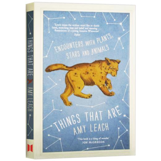 世间万物 与植物星辰动物的相遇 英文原版 Things That Are 艾米里奇 青少年英语科普故事集 英文版进口原版书籍 商品图3