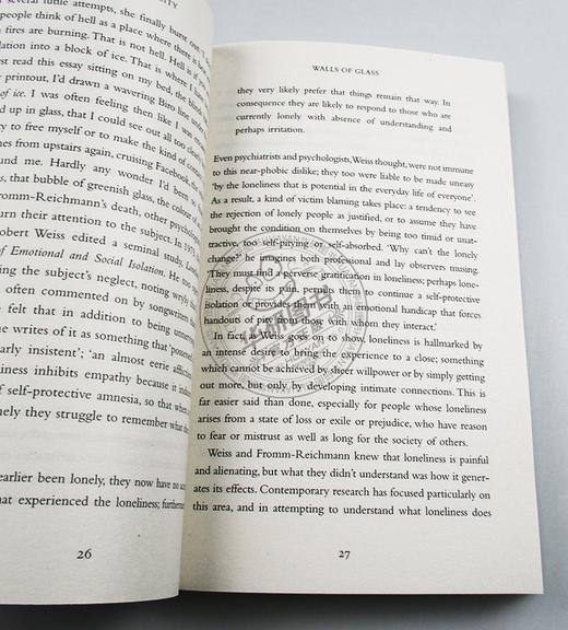 孤独的城市 英文原版 The Lonely City 奥利维娅莱恩 形单影只的艺术 英文文学 英文版 进口原版英语书籍 商品图1