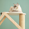 CatS猫家具拼色木屋木制猫爬架 猫的绿野仙踪 猫屋剑麻猫抓柱包邮 商品缩略图4