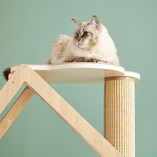 CatS猫家具拼色木屋木制猫爬架 猫的绿野仙踪 猫屋剑麻猫抓柱包邮 商品图4