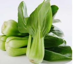 新鲜上海青（本地） 商品图0