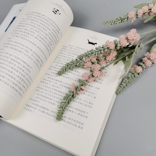 余宝的世界 商品图4