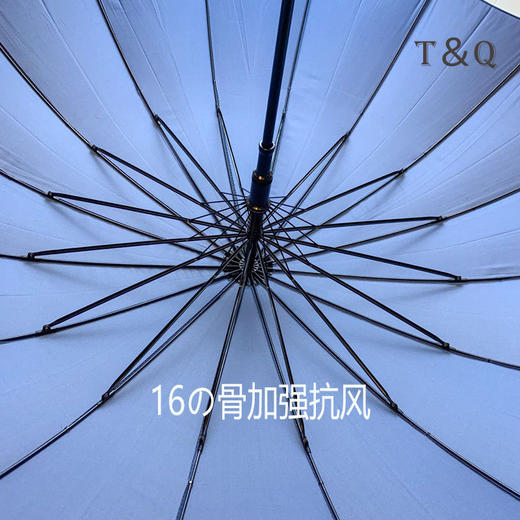 莫兰迪16骨小清新木柄直柄伞日系长柄双人晴雨纯色加大伞 商品图4