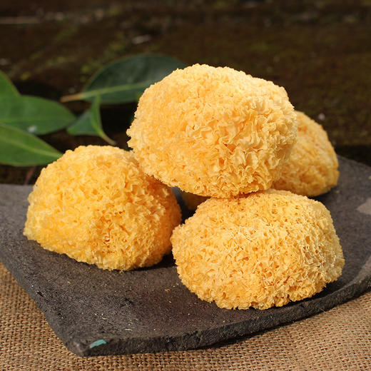 福建古田丑耳、菌中上品、易泡发、不硫熏、美丽吃出来 商品图0