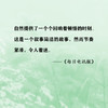 送小獾回家 11岁-14岁 安东尼·麦高恩 著 儿童文学 商品缩略图2
